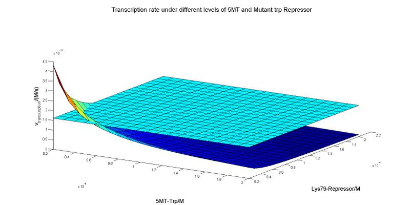 File:Transcripiton rate.jpg