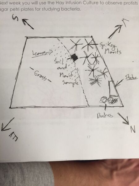 File:Transect Map 0351.jpg
