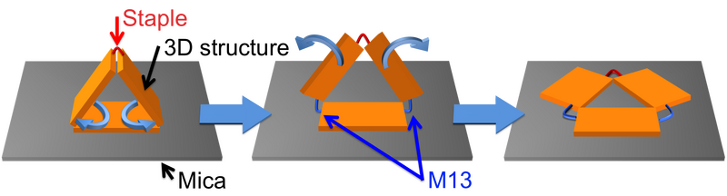 File:Tubure nagare3.png