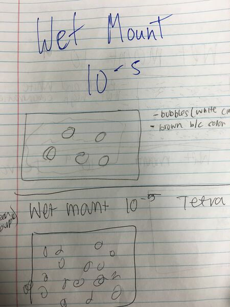 File:File 002(1).jpeg