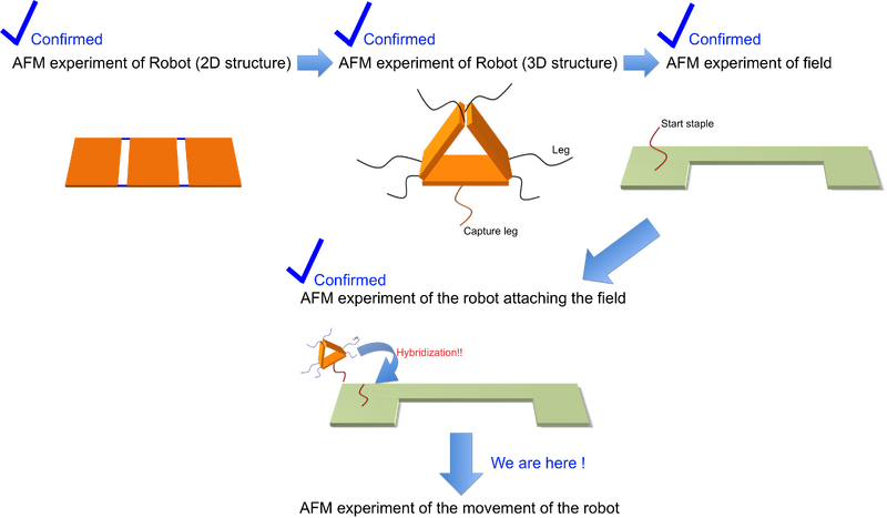 File:Flowchart 1102.png