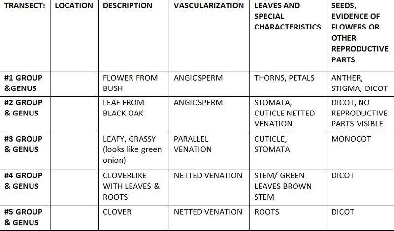 File:LAB 4 TABLE 1.JPG