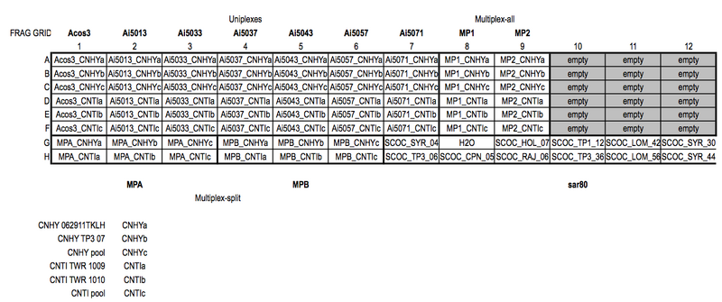 File:20120117 Frag.png