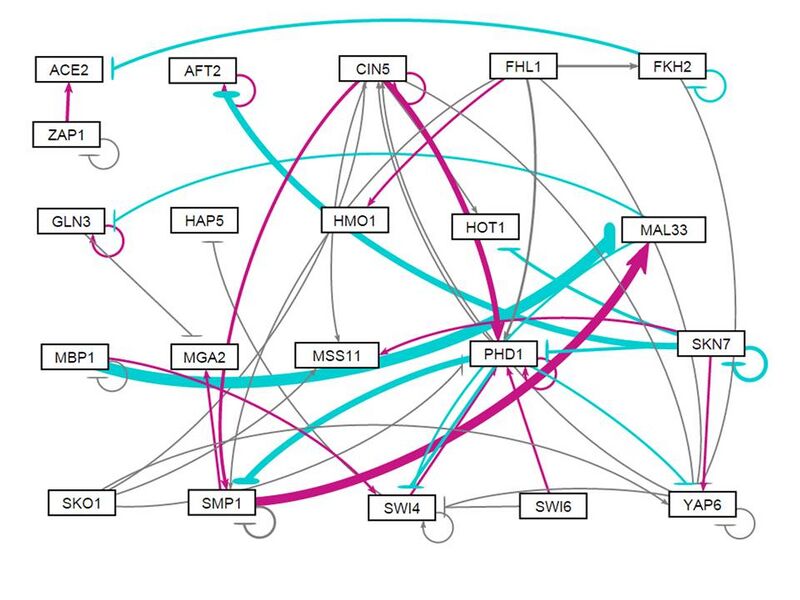 File:2015.60.03.Weighted neg pos RanRun3 NW.jpg
