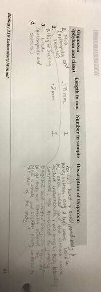 Description Table of Invertebrates