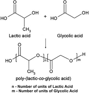 PLGA Structure