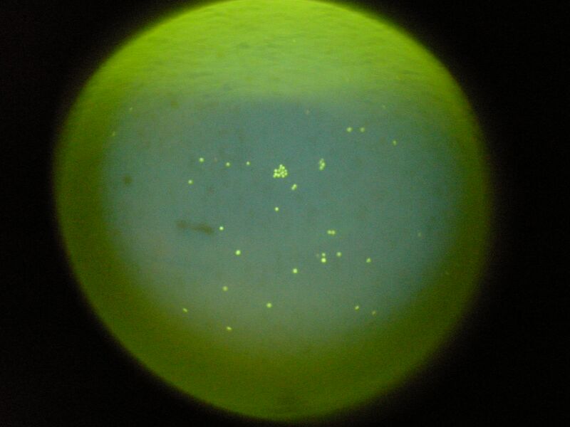 File:S14 TR M3D3 YlwPnk 07.jpg