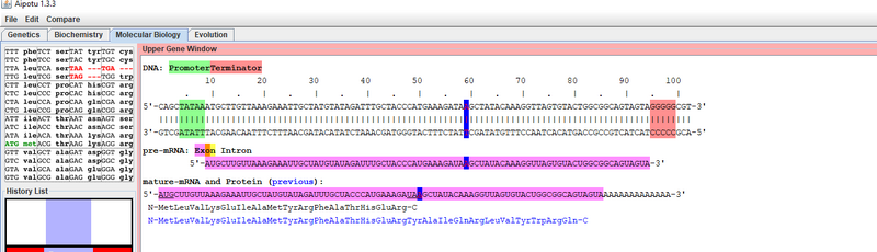 File:Custom proteinMK.PNG