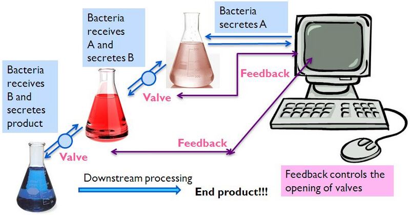File:II09 application4.jpg