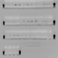 Thumbnail for version as of 23:51, 4 March 2013