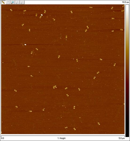 File:2011-08-10 spheregelpur8bp bottom1.jpg