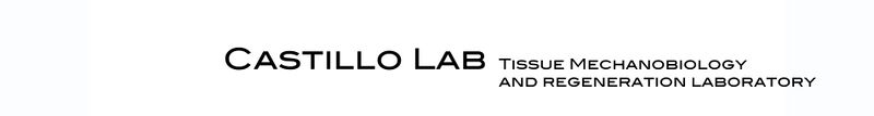 File:Castillo Lab Logo 3.jpg