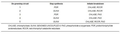 Different combinations of the stop parts and initiate breakdown parts, A synthetic de-greening gene circuit provides a reporting system that is remotely detectable and has a re-set capacity Mauricio S. Antunes1, Suk-Bong Ha1, Neera Tewari-Singh1, Kevin J. Morey1, Anna M. Trofka, Paul Kugrens1, Michael Deyholos