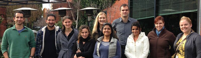 File:M-group dec 16 2014.jpg