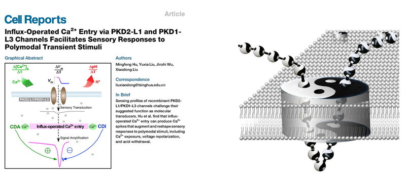 File:Reprework X2015 2.png