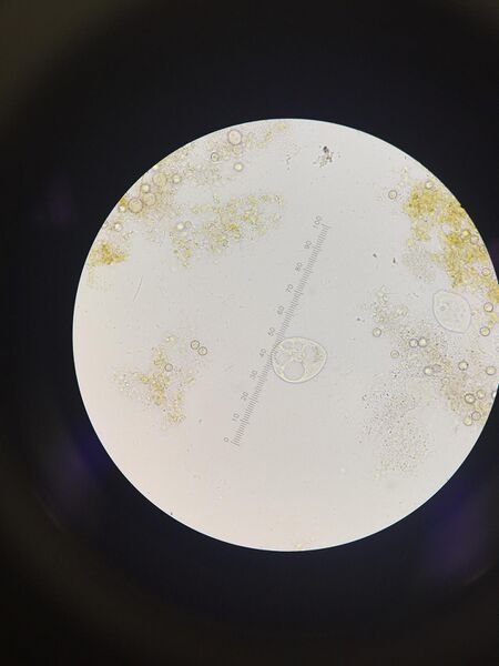 File:BME103 Group42 AUBIO210.jpg