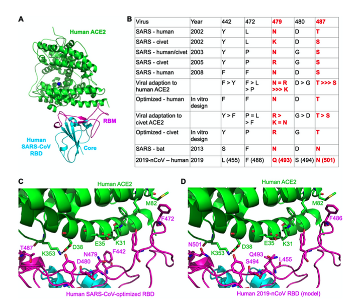 File:Nathan figure1.png