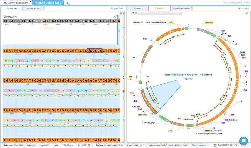 File:Restriction Ligation.jpg