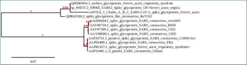 File:SARS Phylogenetic Tree BIOL368 Final Project.PNG