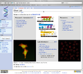 Thumbnail for version as of 20:23, 13 June 2007