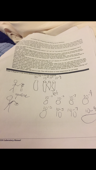 File:BME103 Group3 R4.jpg