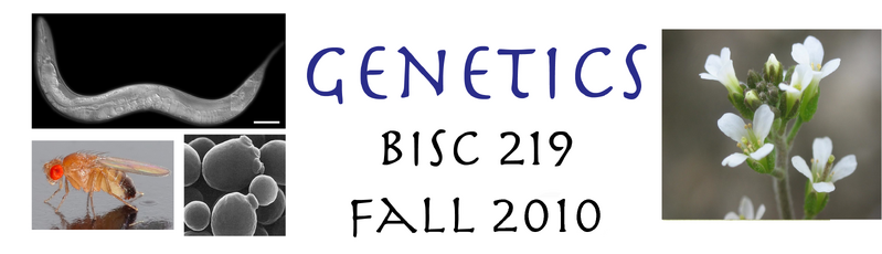 File:Genetics 219 Banner 2010.png