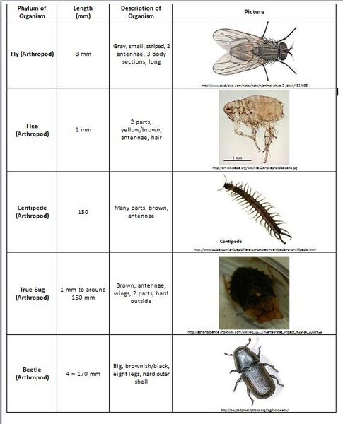 File:Lab 5 Table 2.jpg