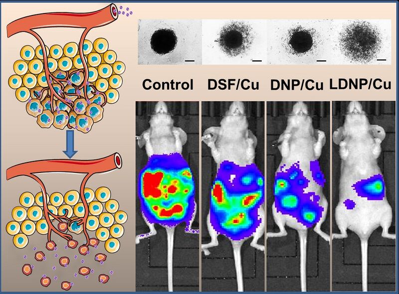 File:Xu lab LDNP.jpg