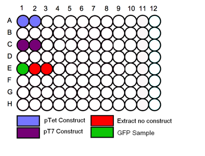 96 Plate Schematic