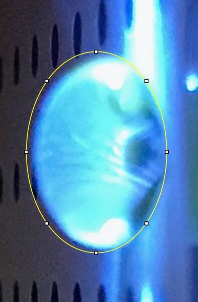 File:Calf Thymus DNA high .jpeg