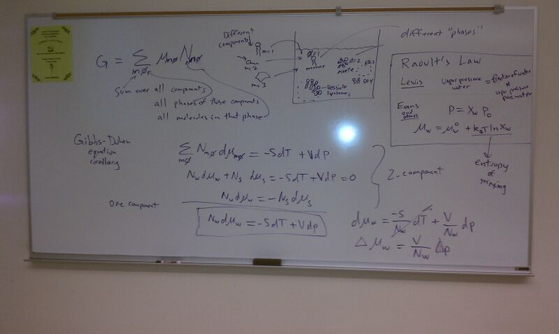 File:MTC Gibbs-Duhem, Raoults.jpg