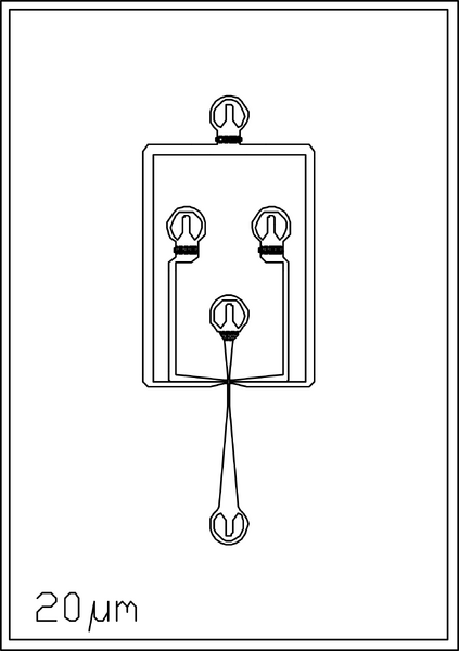 File:20um 4 inlets.png