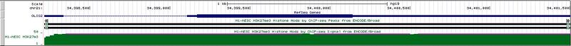 File:H3k27me3h1-heSC.JPG