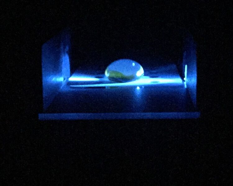 File:Low Concentration .5.JPG