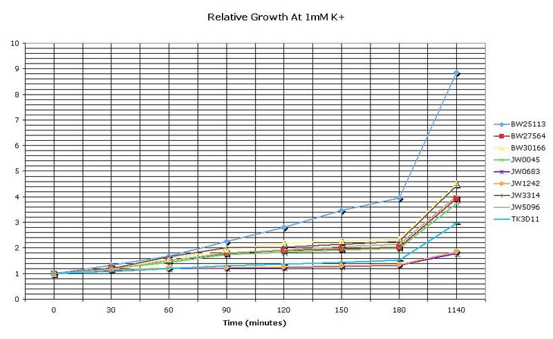 File:RelGrowth1mmK.JPG