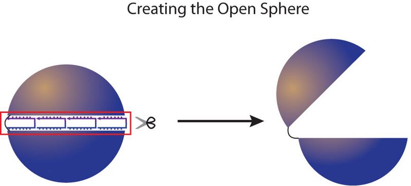 File:Sphere open.jpg