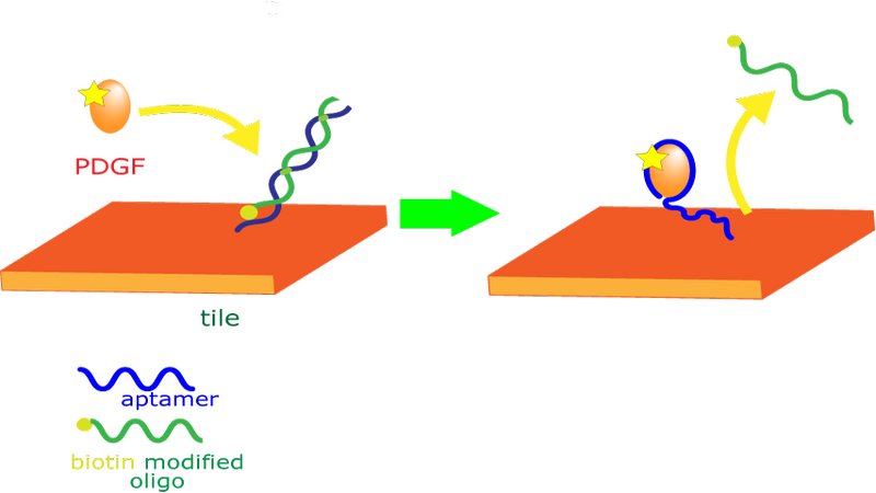 File:Todai Recognition tile B PDGF mod.png