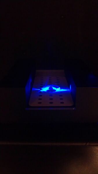 File:BME103 Group10 IMAG0685.jpg