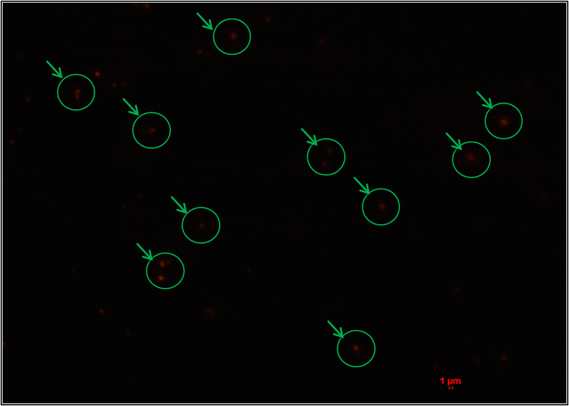 File:Biomod tianjin results 41.png