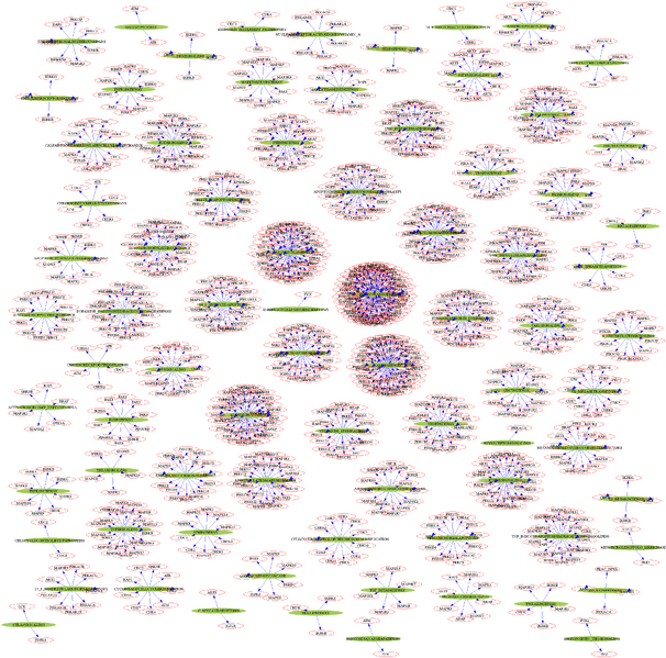 File:Cop dot net.png