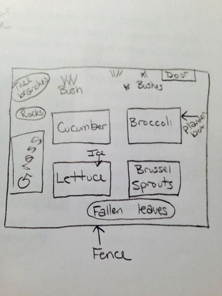 File:Lexi Jenkins Lab 1 transect.jpg