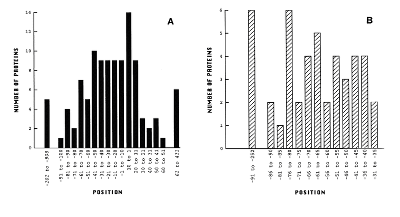 File:Repressor sites.gif