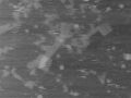 Thumbnail for version as of 10:45, 24 October 2011