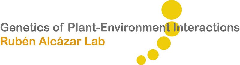 File:Alcazar new.jpg