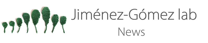 File:Banner.News.leaf series.jpg