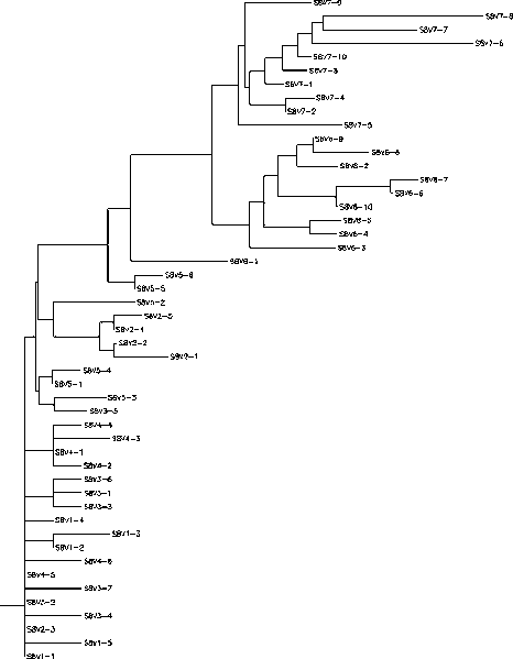 File:CHR Image13 20110928.gif