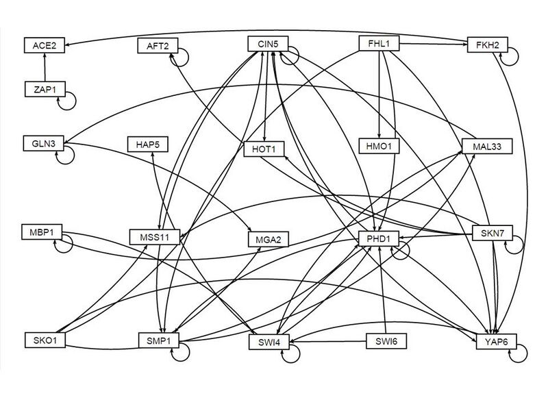 File:GJ 21 gene unweighted network.jpg
