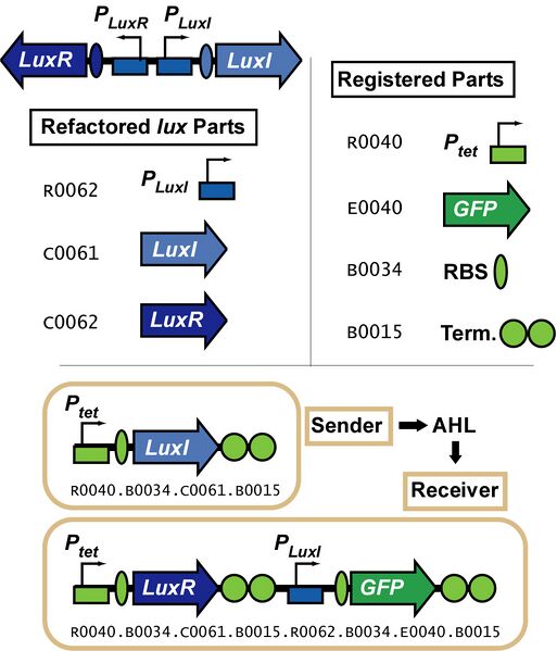 File:JCATutorialRefactoring.jpg
