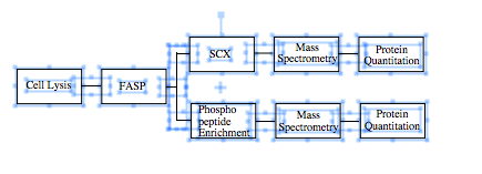 File:Sample Prep Work Flow.jpg