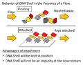 Thumbnail for version as of 16:01, 27 October 2012